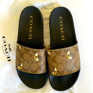 Coach bee slides 🐝